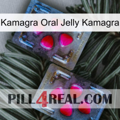 Kamagra Oral Jelly Kamagra 15